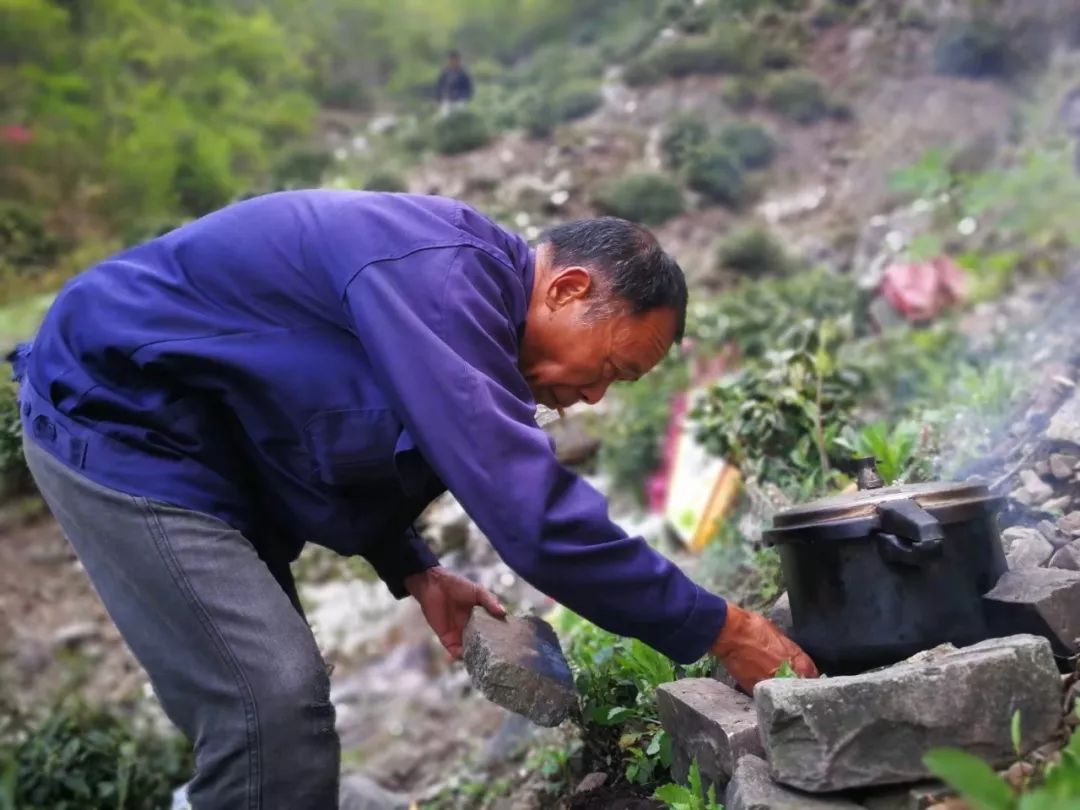 谷雨，胡适故乡的皖南春野茶