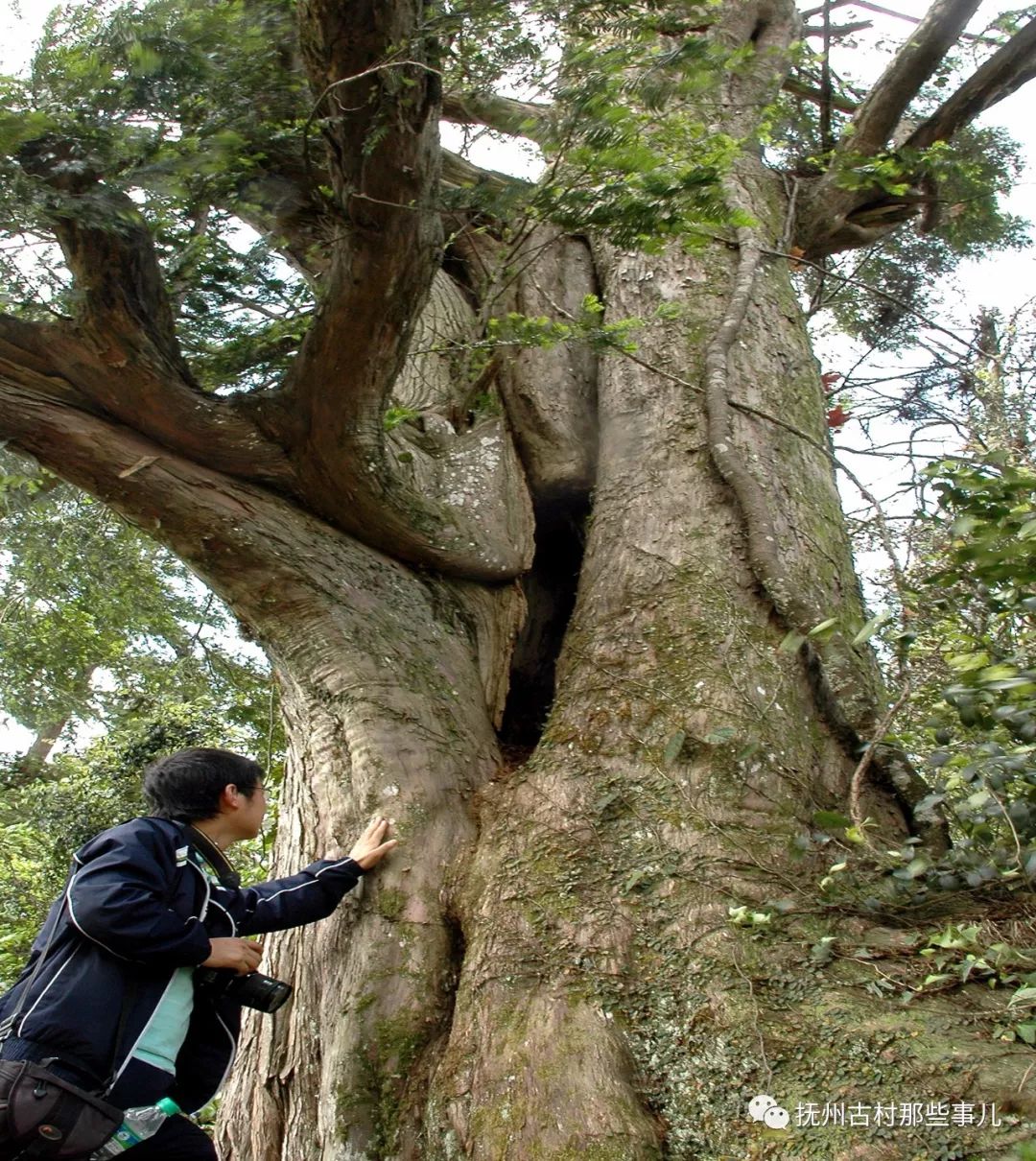 蛟湖村：黄陂大捷有遗篇