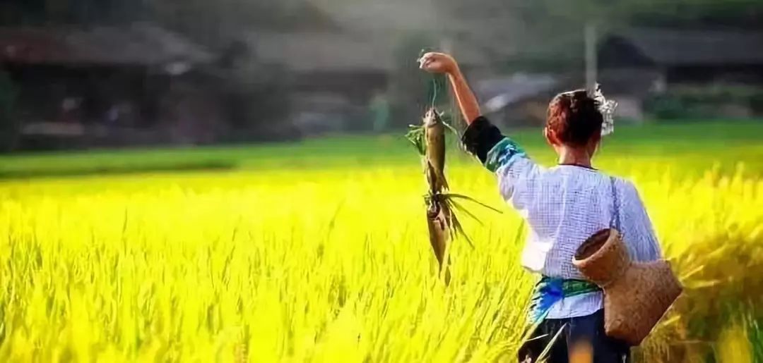 传统村落：文化是挽歌，还是幻象？