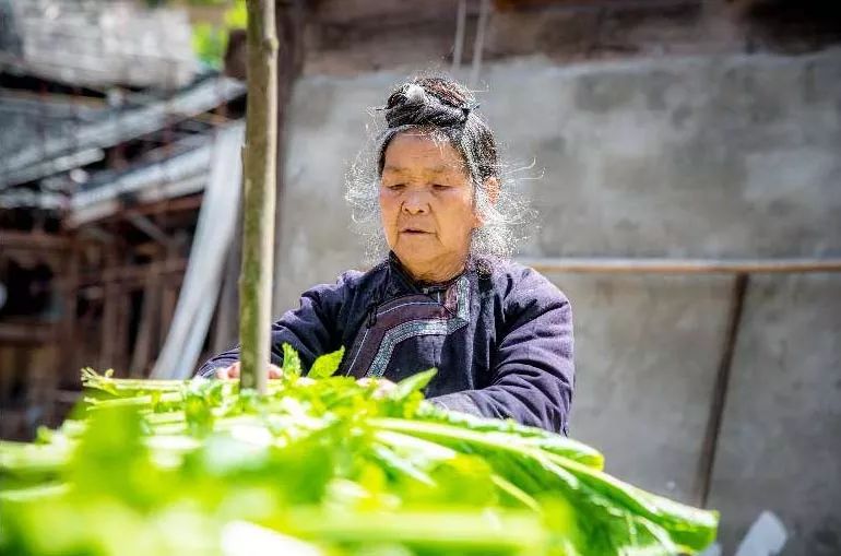 传统村落：文化是挽歌，还是幻象？