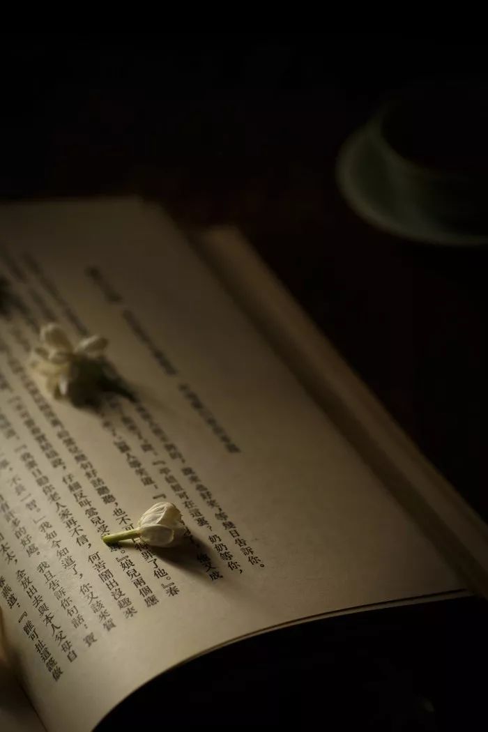 贾平凹｜这也是生活