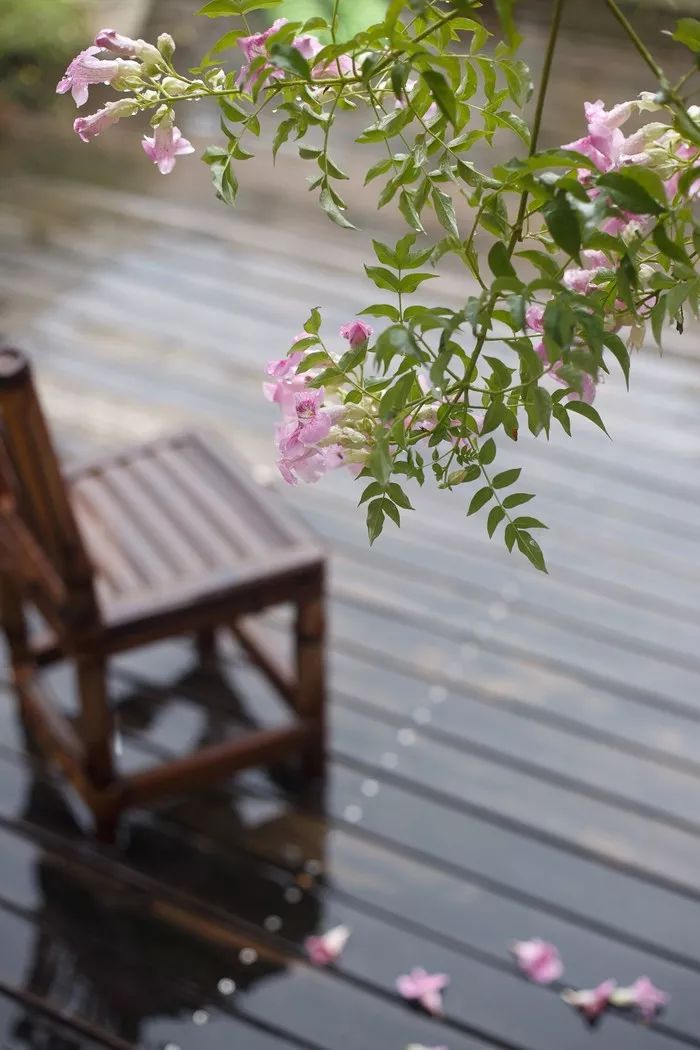 贾平凹｜这也是生活