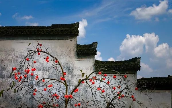 对话摄影师 | 章晓璇，爱是喜欢之上，持之以恒