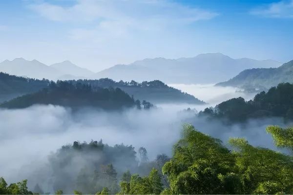对话摄影师 | 章晓璇，爱是喜欢之上，持之以恒