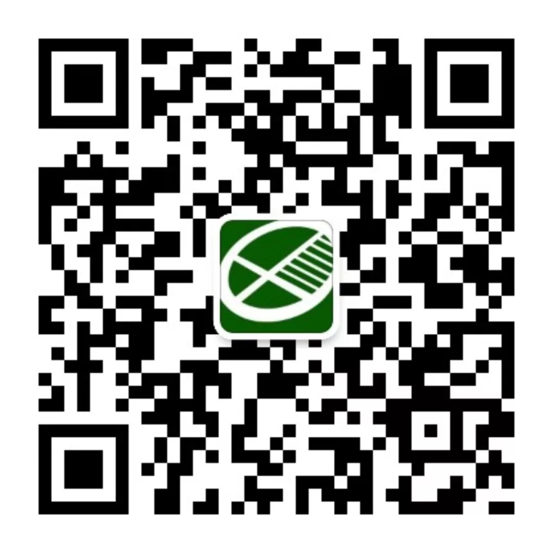 一年多了雄安为何没啥大工程开工？清华教授如是说