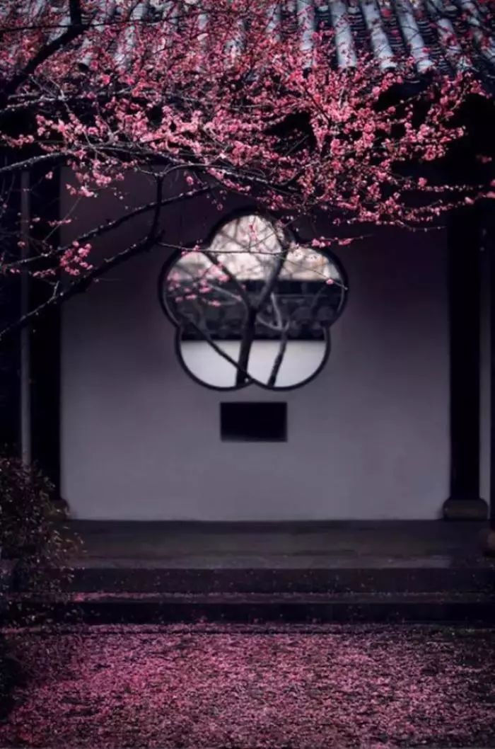 贾平凹｜这也是生活