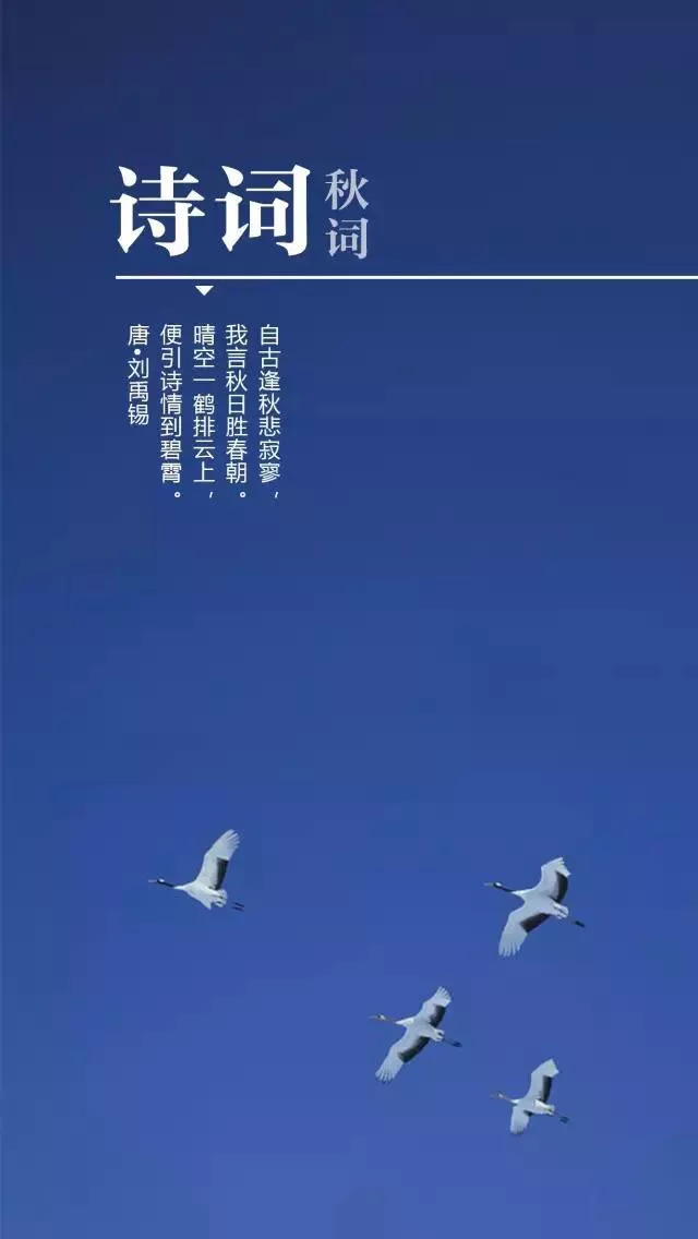 处暑｜四时俱可喜 最好新秋时