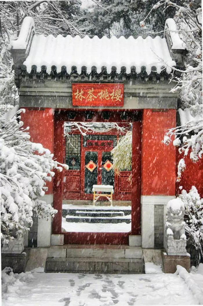 贾平凹｜这也是生活