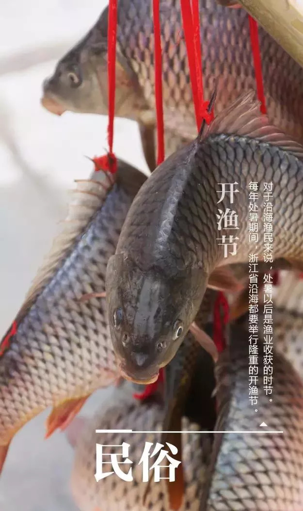 处暑｜四时俱可喜 最好新秋时