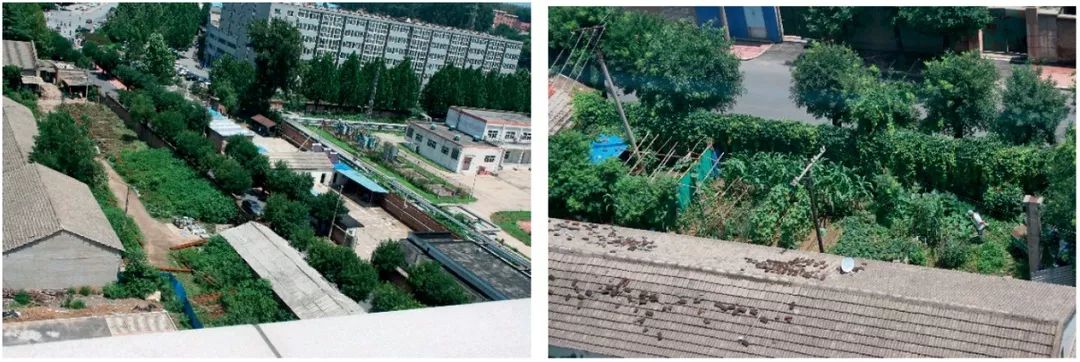 北京规划建设033 | 落实北京新总规,把好建设工程规划核验收口关 北京规划建设033 | 落实北京新总规,把好建设工程规划核验收口关