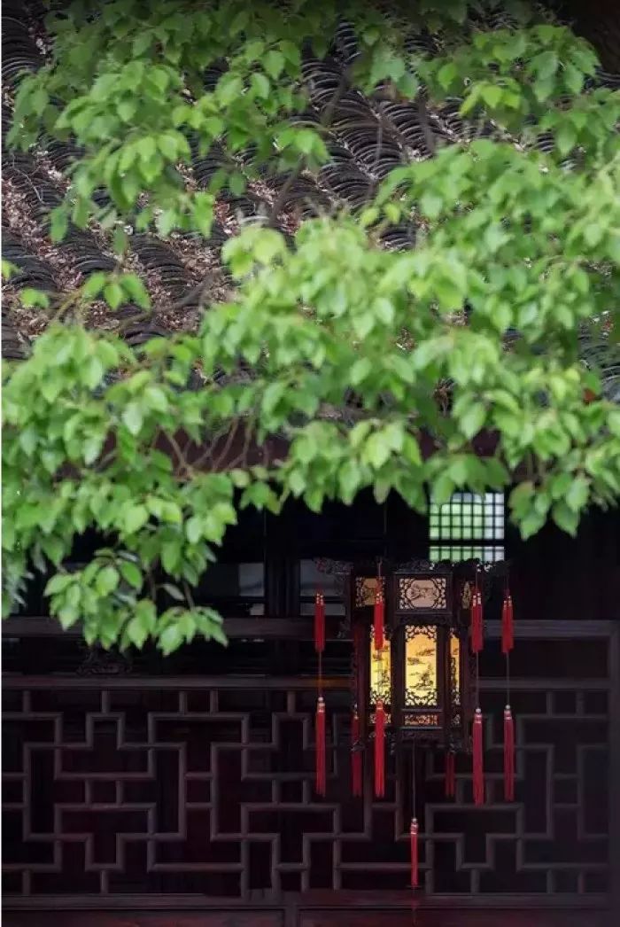 贾平凹｜这也是生活