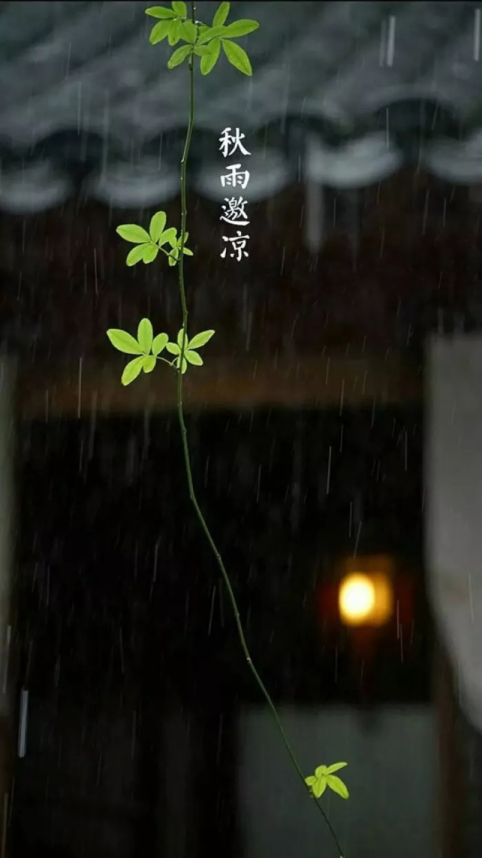 处暑｜四时俱可喜 最好新秋时