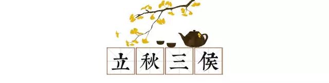 立秋｜暑去凉来 万物澄清