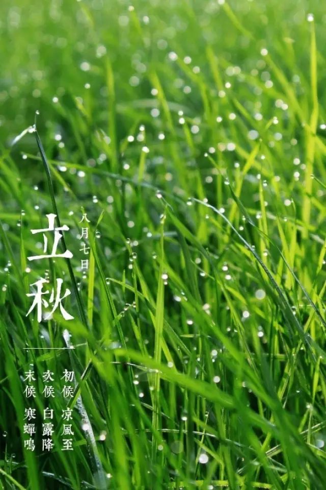 立秋｜暑去凉来 万物澄清