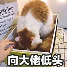 深入解析:如何在 深入解析:如何在