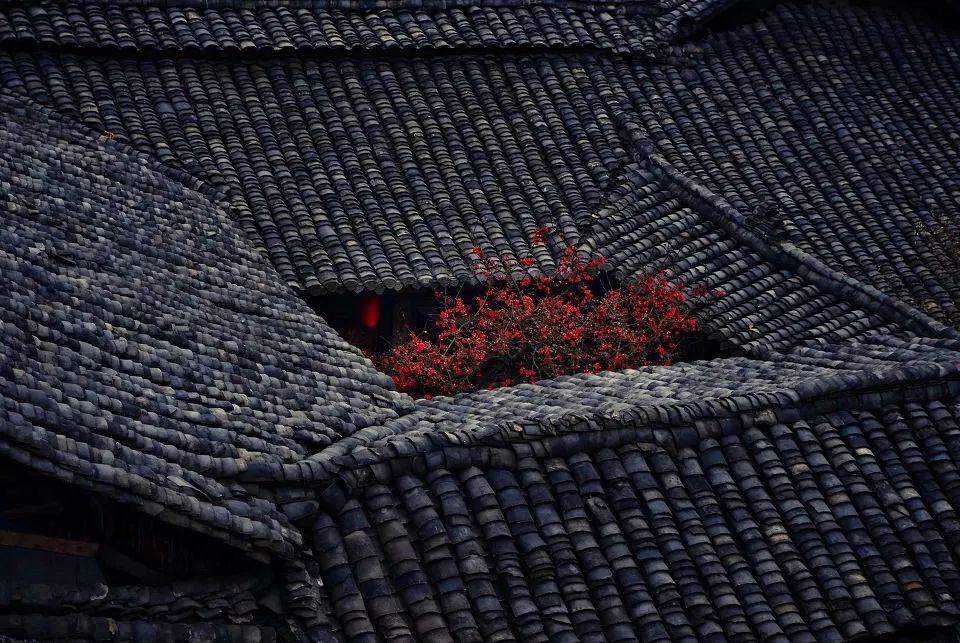 瓦当，屋顶上的诗意