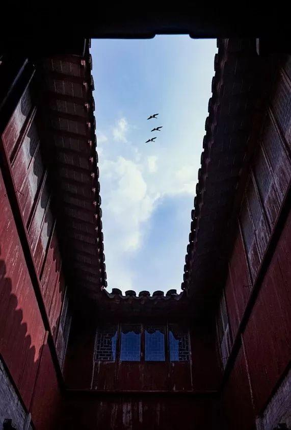 瓦当，屋顶上的诗意