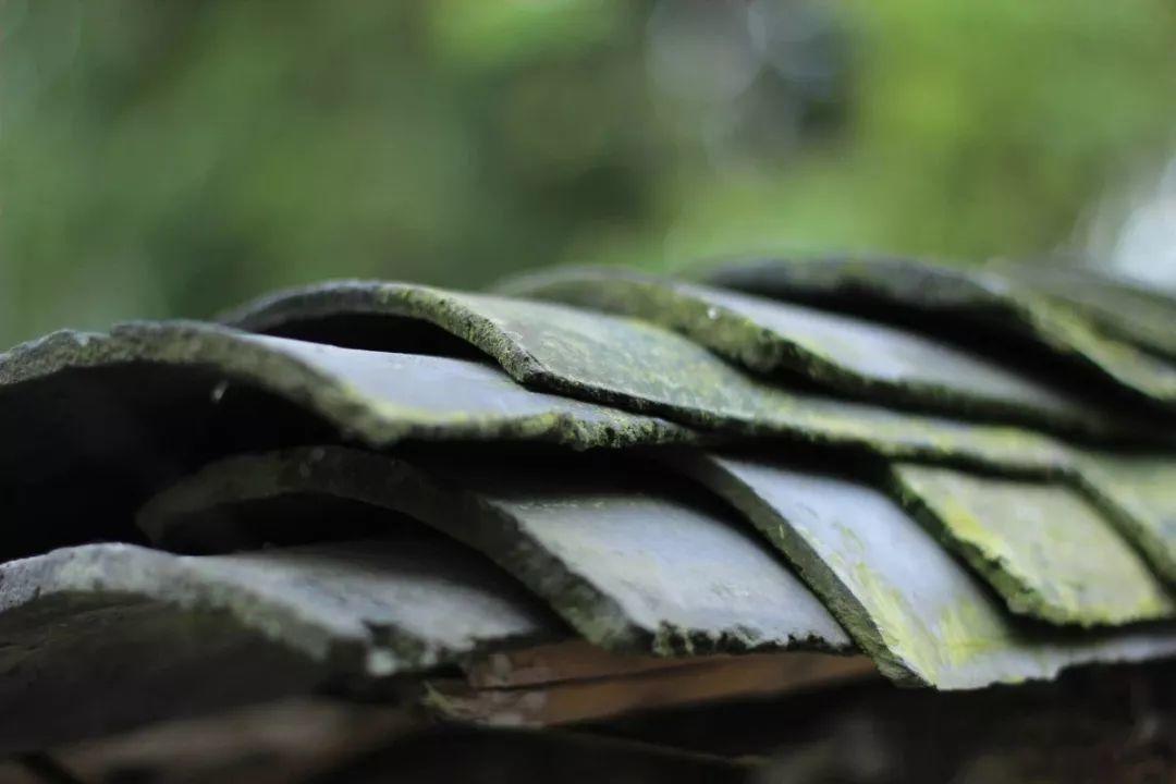 瓦当，屋顶上的诗意