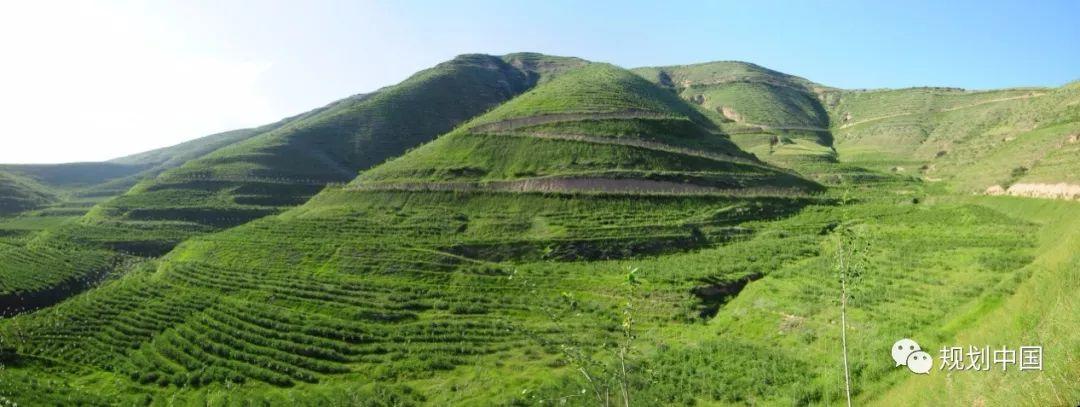住建部：秦皇岛、西宁、洛阳、扬州双修工作彰显城市智慧，不断增强人民群众获得感│专栏