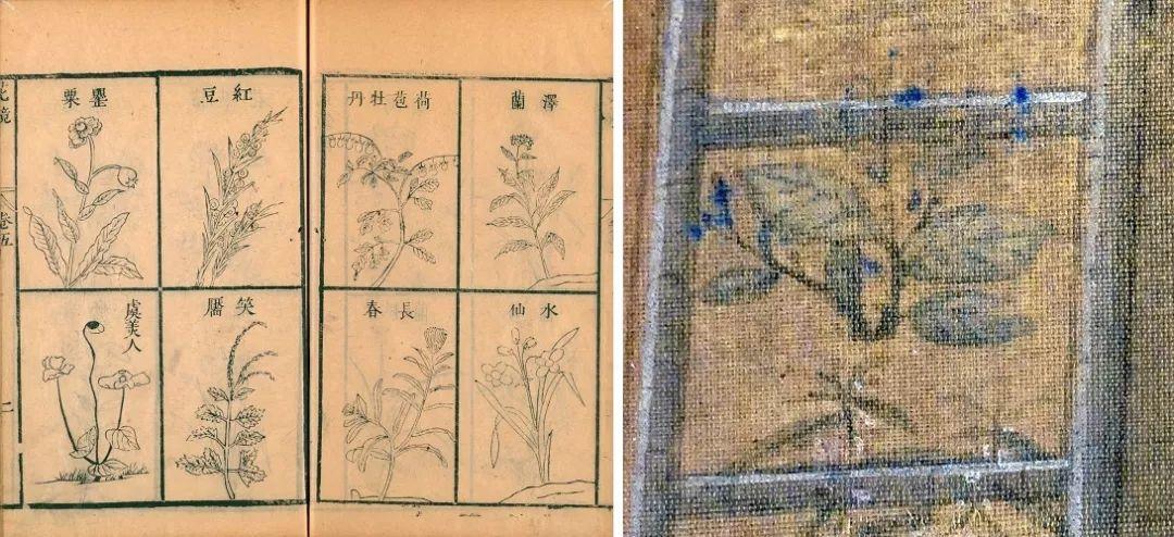 学术文摘丨北京耶稣会北堂和中国植物图像:十八世纪中西园艺学交流的一则轶事 学术文摘丨北京耶稣会北堂和中国植物图像:十八世纪中西园艺学交流的一则轶事