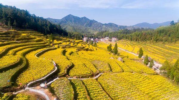 文化遗产｜“清真禅寺”：乡村振兴背景下的宗教文化共同体