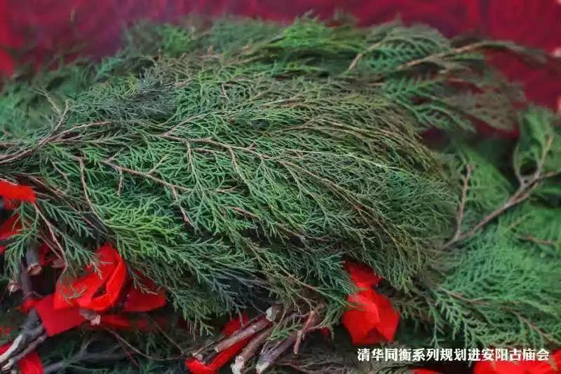 正月十六,当传统民俗与城市规划在庙会相遇——清华同衡系列规划走进安阳侧记 正月十六,当传统民俗与城市规划在庙会相遇——清华同衡系列规划走进安阳侧记