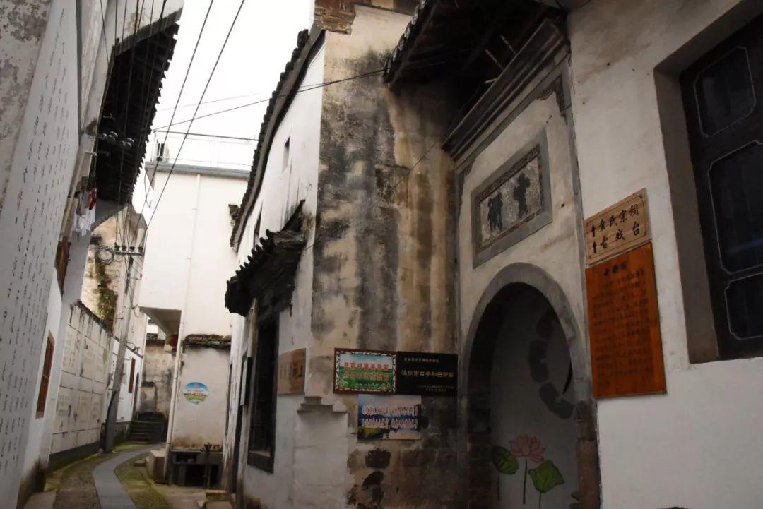 家风融旅游  传统文化吸眼球