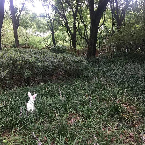 你的地方·小结｜这些地方：为何讲，如何讲