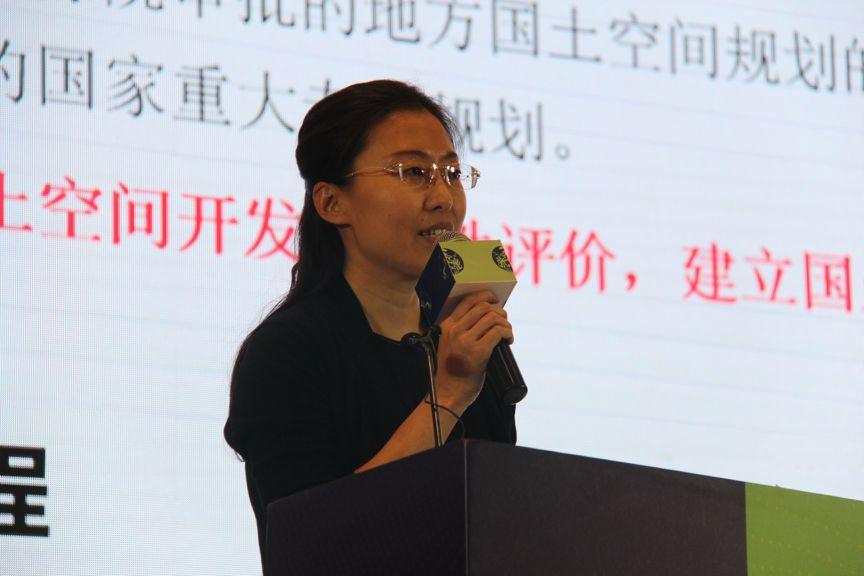 观点集萃∣“新时期的国土空间规划编制与实施评估”专场•2019第十三届规划信息化实务论坛
