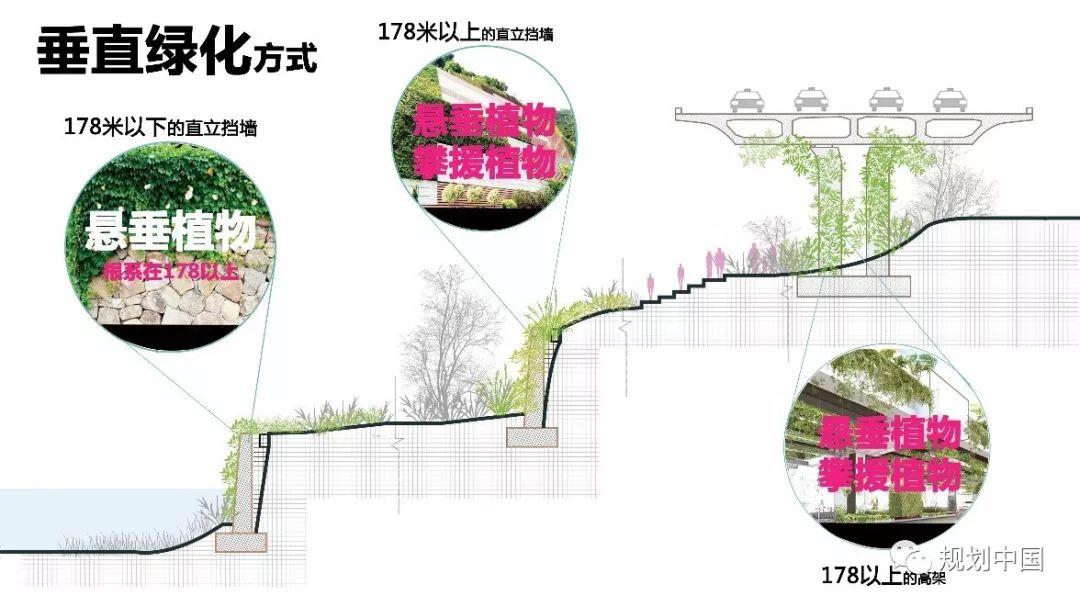 江山城记 ——长江上游沿江地区生态修复与城市设计实践