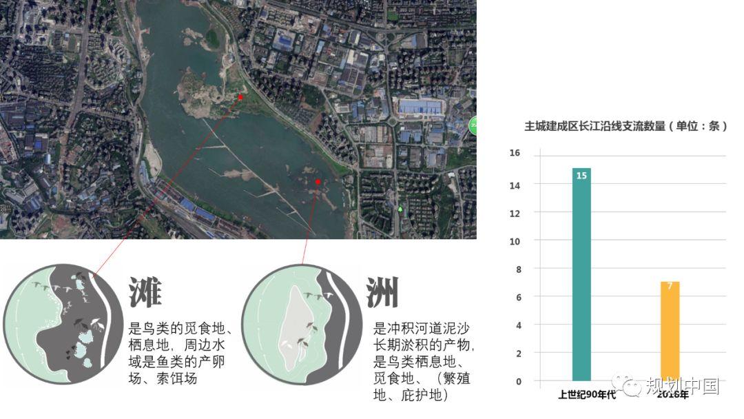 江山城记 ——长江上游沿江地区生态修复与城市设计实践