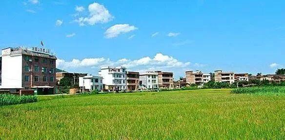 金元浦:乡村振兴与城乡建设高质量