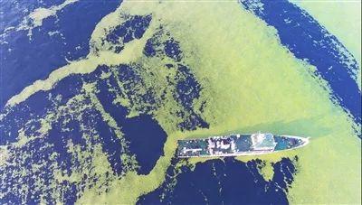 【壮丽70年 奋斗新时代】黄渤海浒苔监测直击 【壮丽70年 奋斗新时代】黄渤海浒苔监测直击