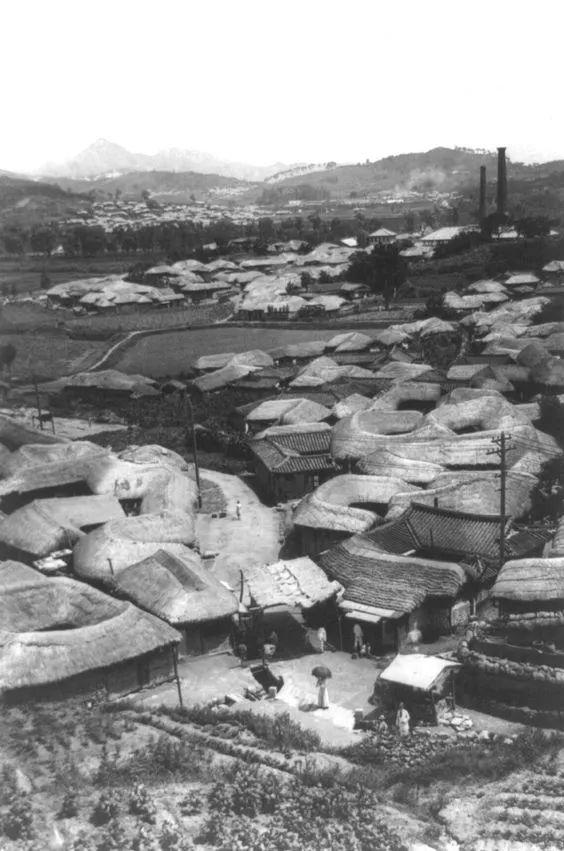 译文 | 新乡土主义