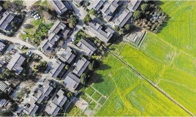 金元浦:乡村振兴与城乡建设高质量