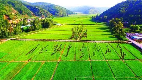 革命旧址红色SHOW，带你领略不一样的圣地延安•住建部延安双修现场会侧记