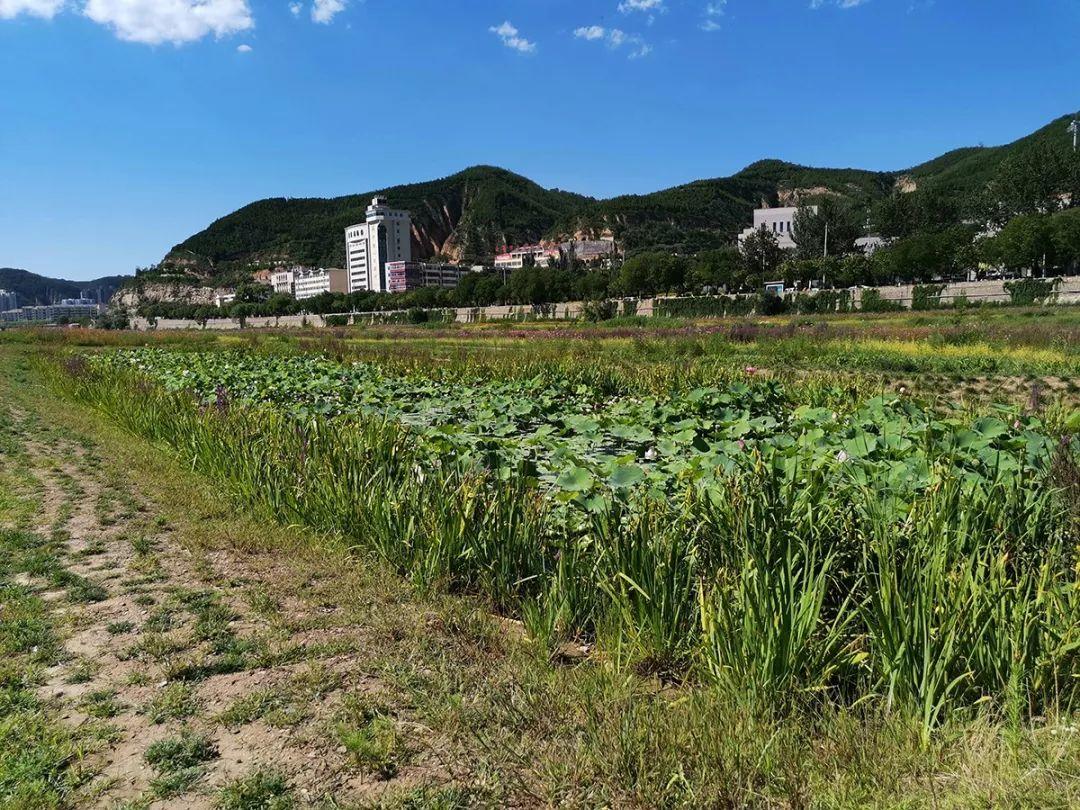革命旧址红色SHOW,带你领略不一样的圣地延安•住建部延安双修现场会侧记 革命旧址红色SHOW,带你领略不一样的圣地延安•住建部延安双修现场会侧记