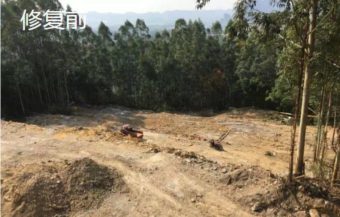 「新·周看」国土空间矿山生态修复规划