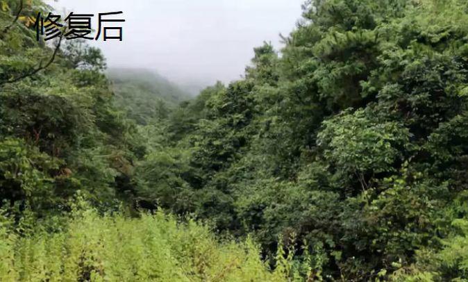 「新·周看」国土空间矿山生态修复规划