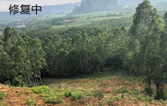 「新·周看」国土空间矿山生态修复规划