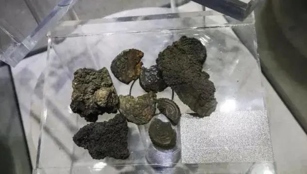 不敢忘,不能忘! 不敢忘,不能忘!