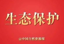 图解近6年政府工作报告中的生态关键词-