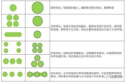 棕地再生与城市“双修”：河滩棕地如何修复？