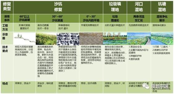 棕地再生与城市“双修”：河滩棕地如何修复？