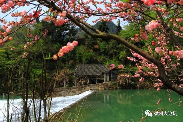 【徽州百村】歙南第一村,昌溪 【徽州百村】歙南第一村,昌溪