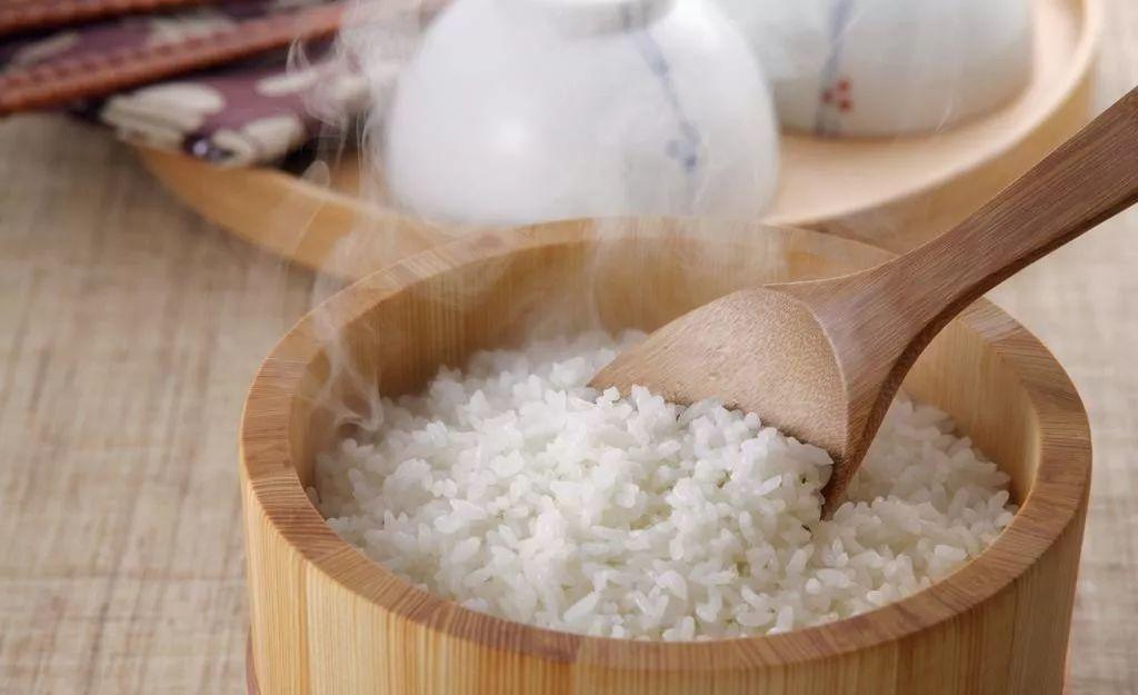 金穗开镰，快来乌镇横港国际艺术村收秋 | 11月5日割稻节 报名倒计时