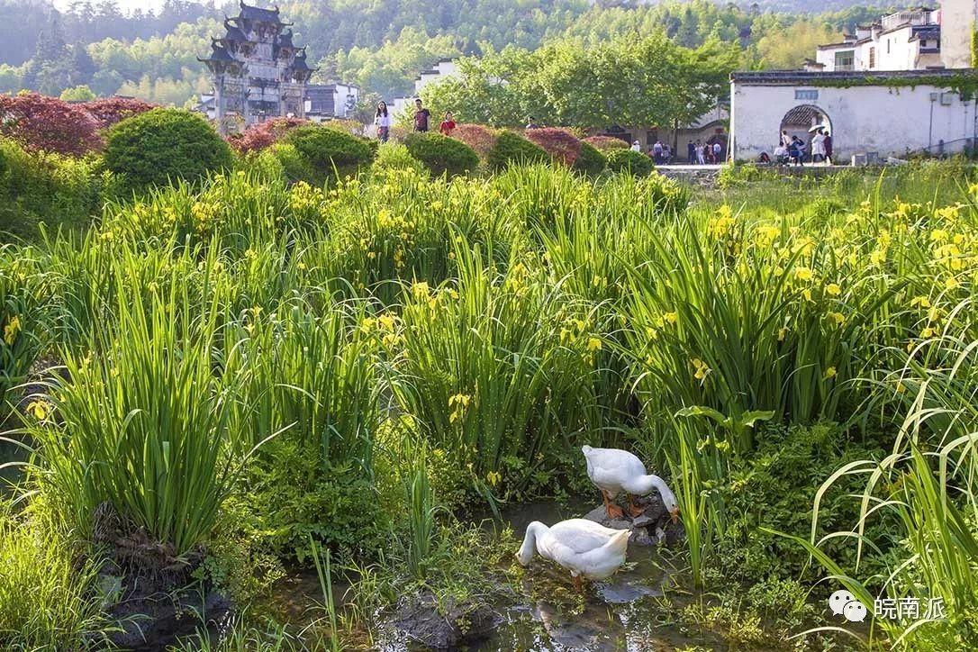 胡文光牌坊