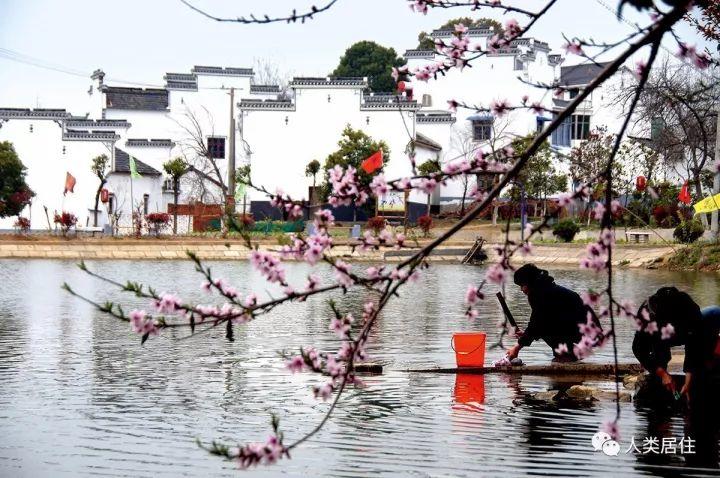 【周末悦读】国际慢城的从容境界：南京桠溪