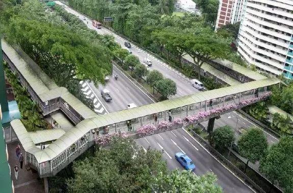 560万人口、近100万辆车，高峰期却不拥堵，这个城市怎么做到的？