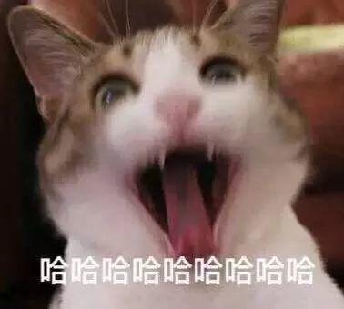 论如何保持一颗学习的心：同衡组团参加2017规划年会啦~